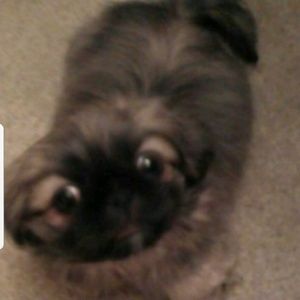 Meet your Posher, Gail